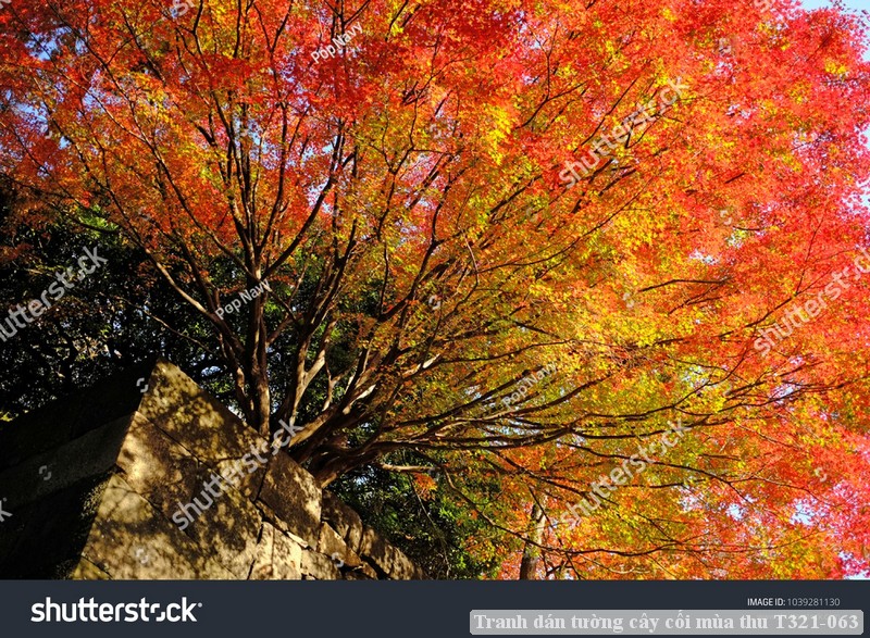 Tranh dán tường cây cối mùa thu T321-063